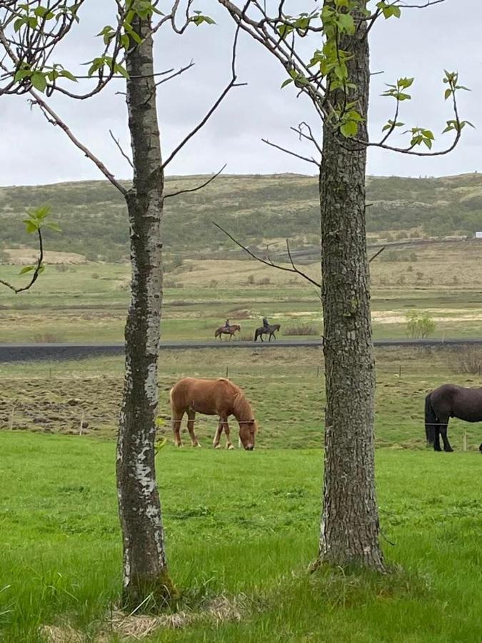 Golden Circle Private Farmhouse With Hot Tub Villa Selfoss Exterior photo